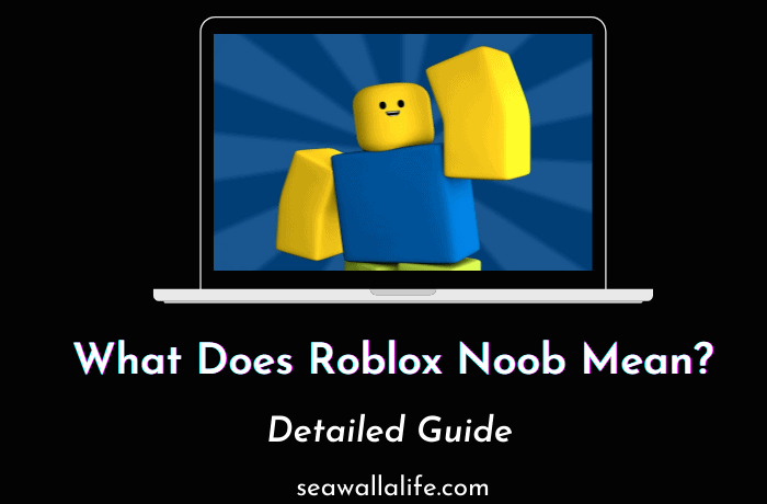 What Does Roblox Noob Mean? Everything You Need To Know